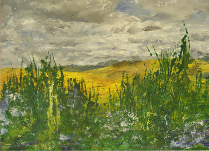 edge of the field.jpg