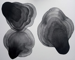 Botanical Paintings – Caroline Rackham