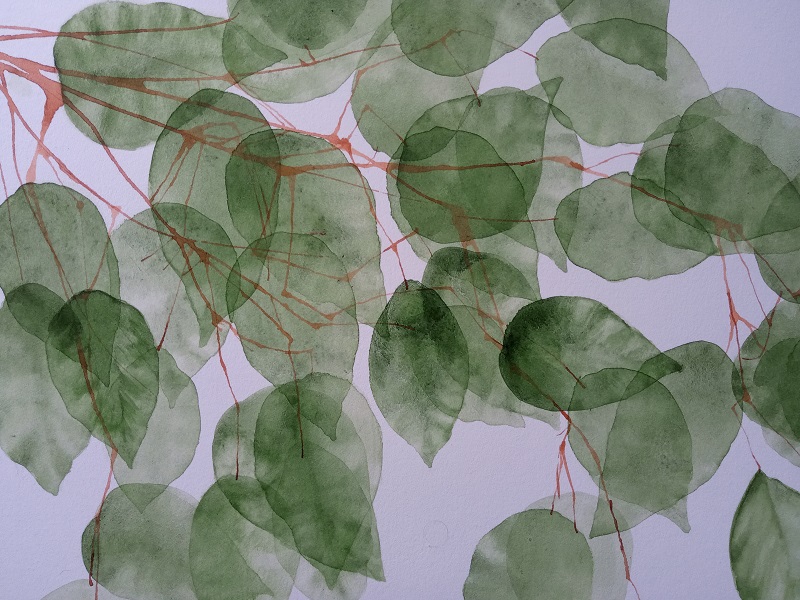 redbarkgreenleavesforweb