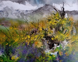 Portfolios – Caroline Rackham