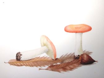 IMG_20221028_222435_2