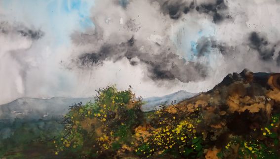 preselli view webready