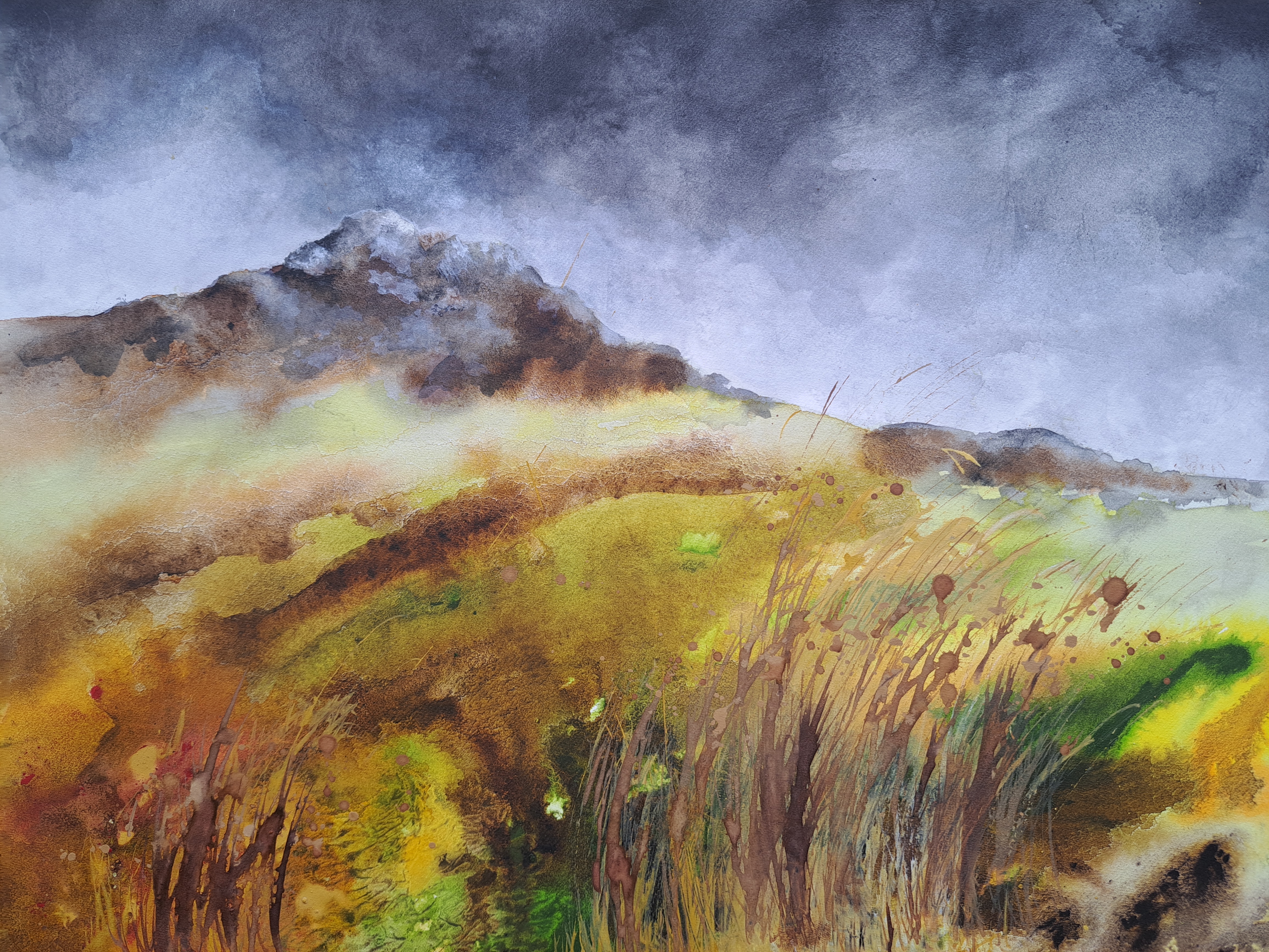 Caroline Rackham – Visual Artist